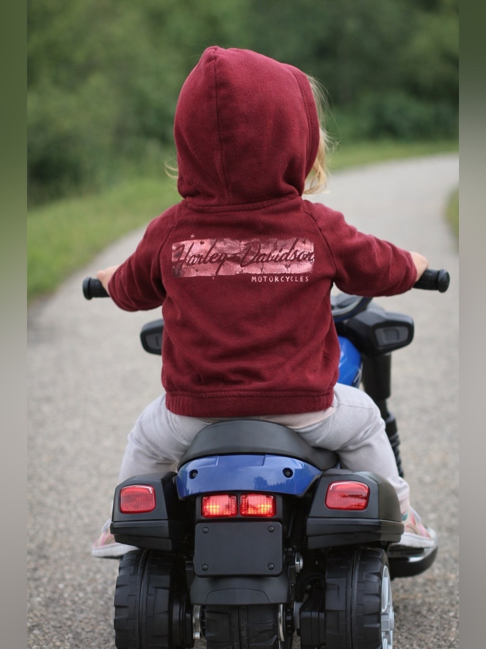 Harley-Davidson Toddler Girls Bar & Shield Knit Zip-Up Hoodie 2/3T Maroon Pink